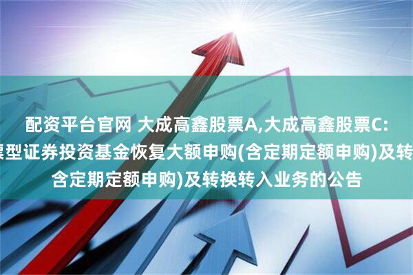 配资平台官网 大成高鑫股票A,大成高鑫股票C: 关于大成高鑫股票型证券投资基金恢复大额申购(含定期定额申购)及转换转入业务的公告
