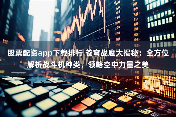 股票配资app下载排行 苍穹战鹰大揭秘：全方位解析战斗机种类，领略空中力量之美